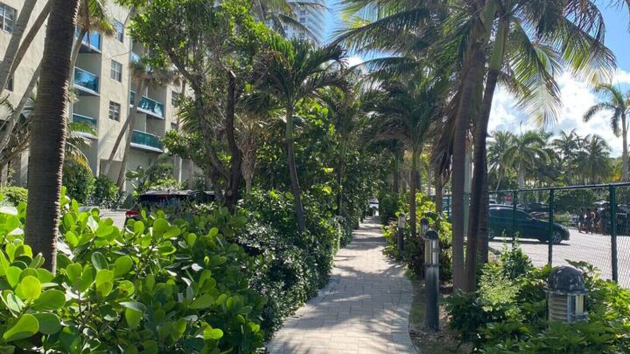 Photo of Others in Hallandale Beach