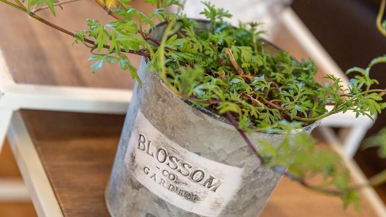 Photo of Others in Cherrueix