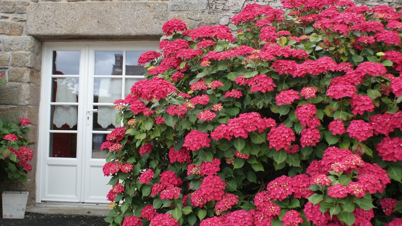 Photo of Others in Cherrueix