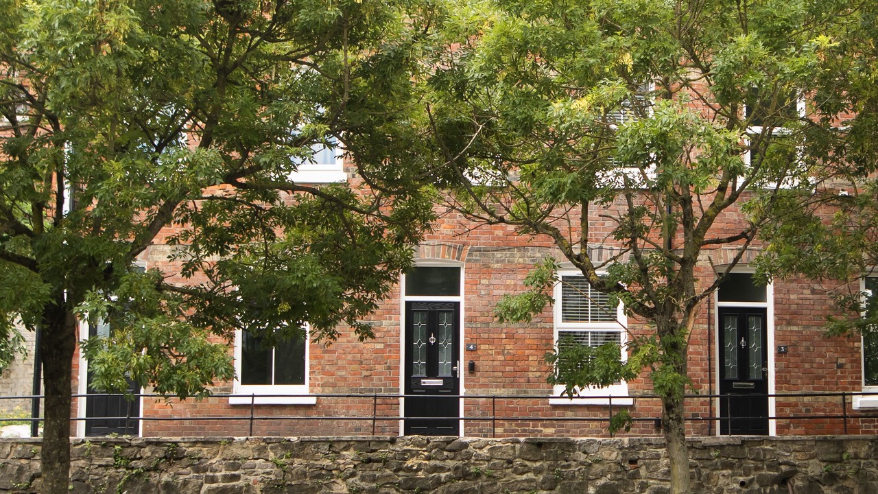 Photo of Others in Folkestone