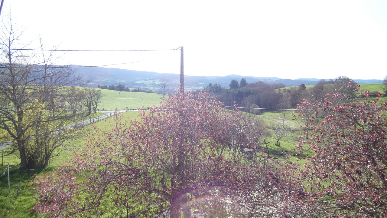 Photo of Outdoor in Ambert