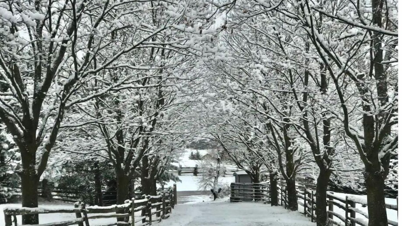 Photo of Outdoor in Adjala-Tosorontio
