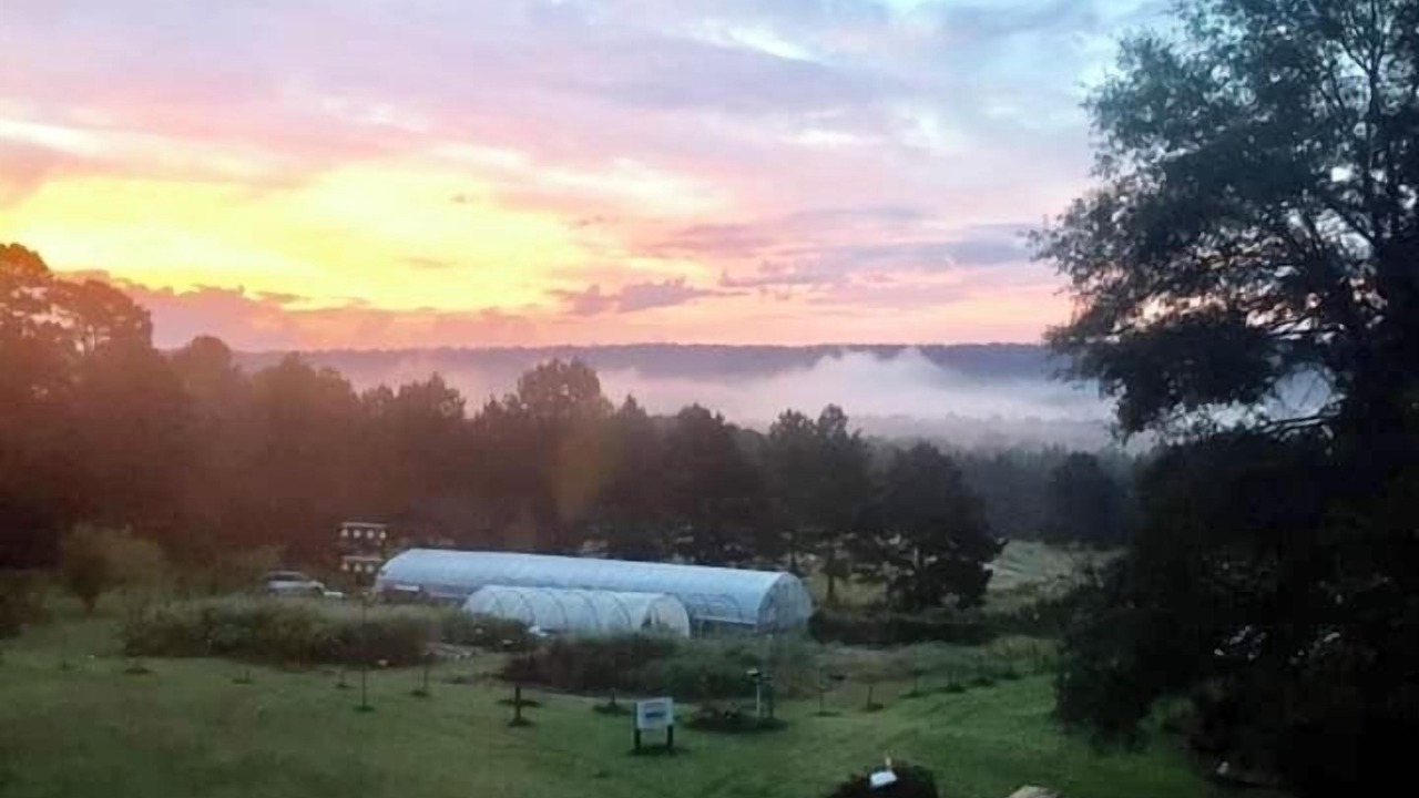 Photo of Outdoor in Summerville