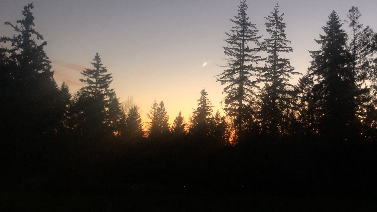 Photo of Others in Graham