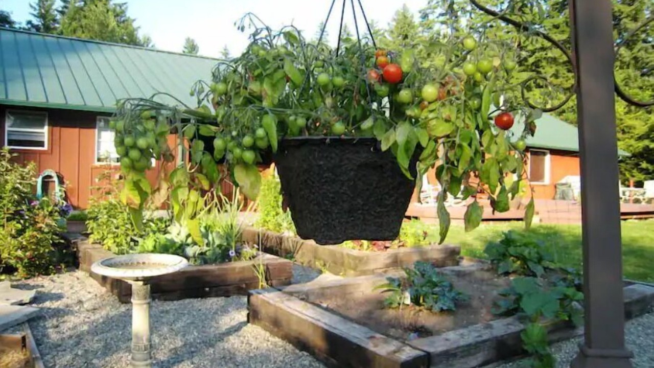 Photo of Outdoor in Graham