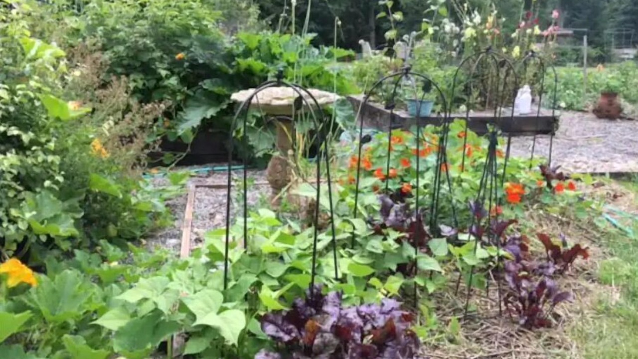 Photo of Outdoor in Graham