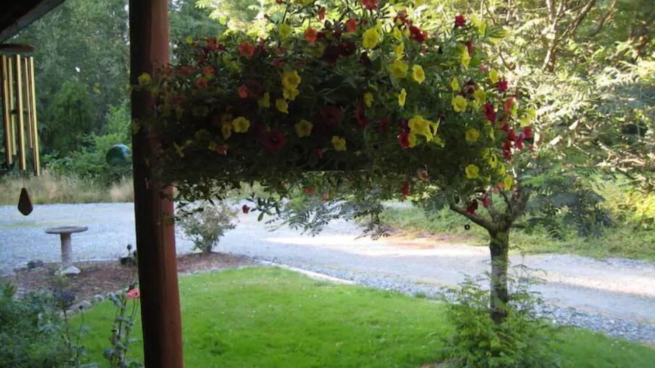 Photo of Outdoor in Graham