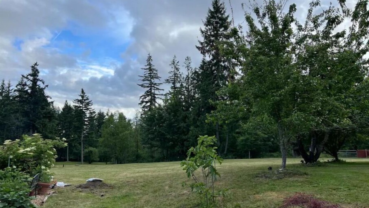 Photo of Others in Graham