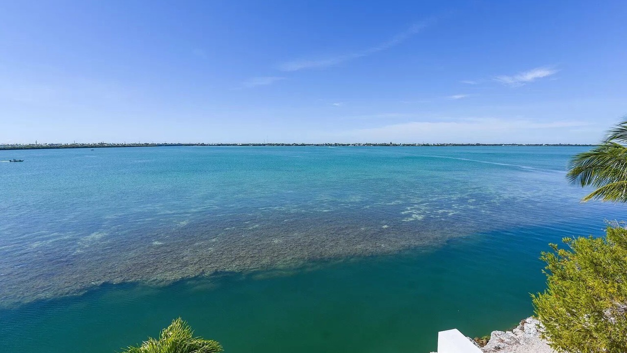 Photo of Others in Big Pine Key