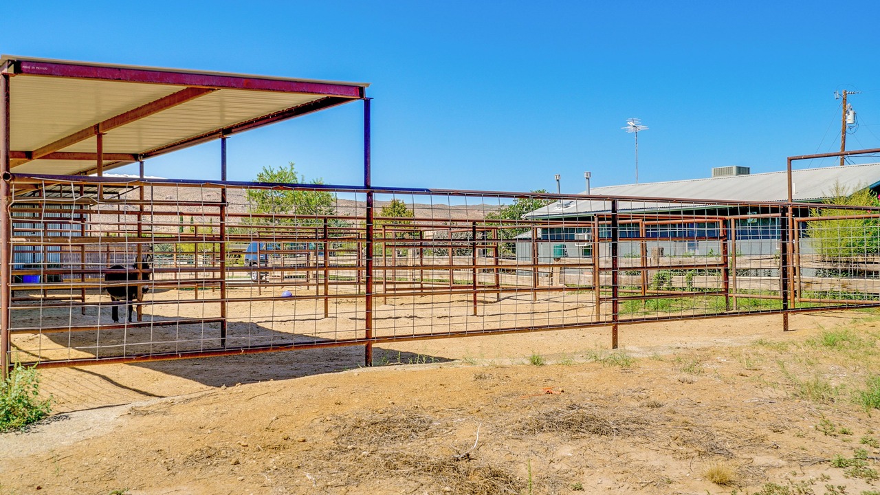 Photo of Others in Las Cruces