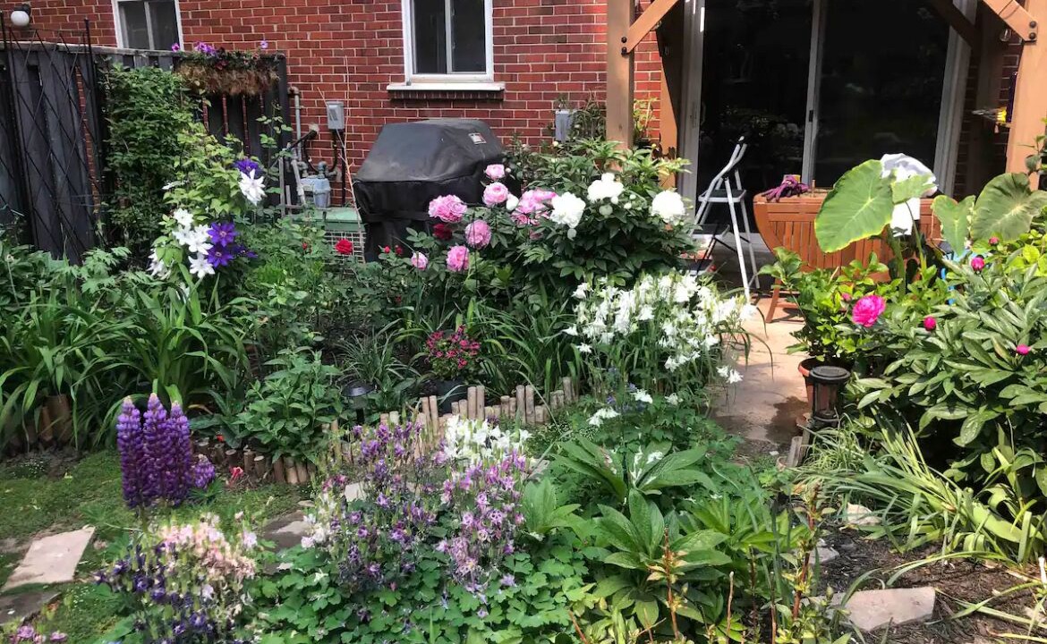 Photo of Patio Balcony in Clarkson-Lorne Park