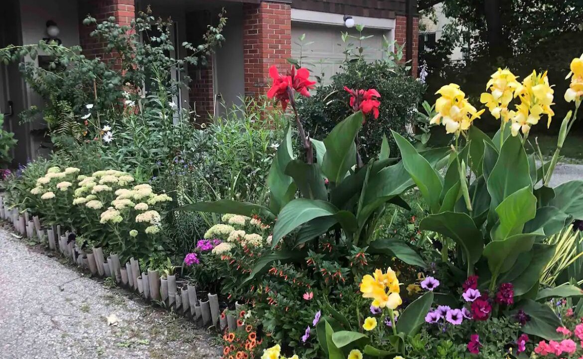 Photo of Outdoor in Clarkson-Lorne Park
