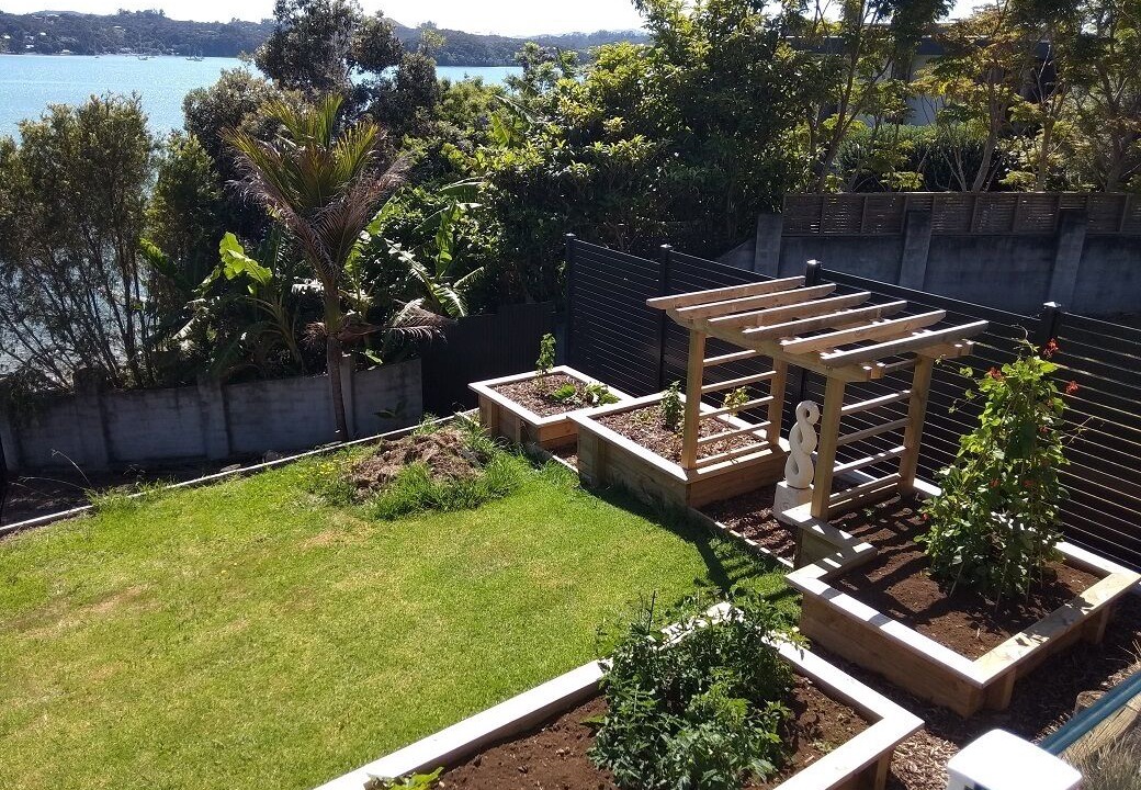 Photo of Outdoor in Paihia