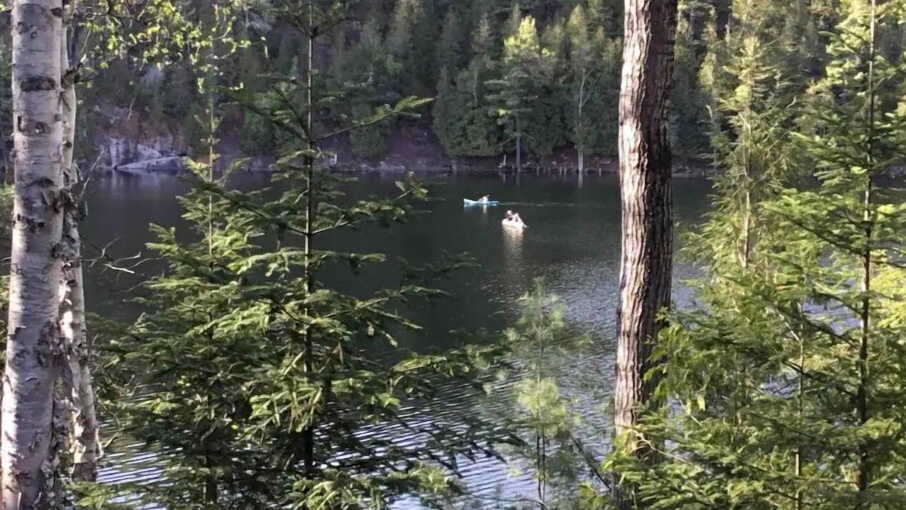 Photo of Others in Bancroft