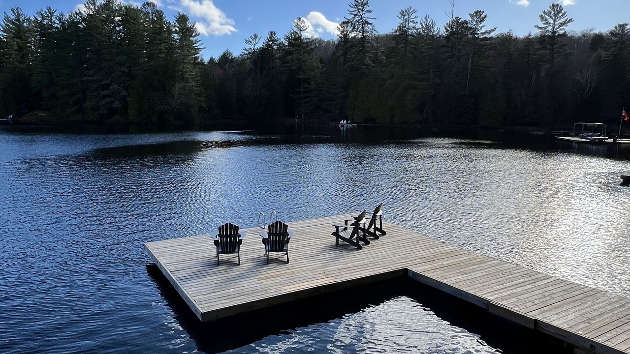 Photo of Outdoor in Algonquin Highlands