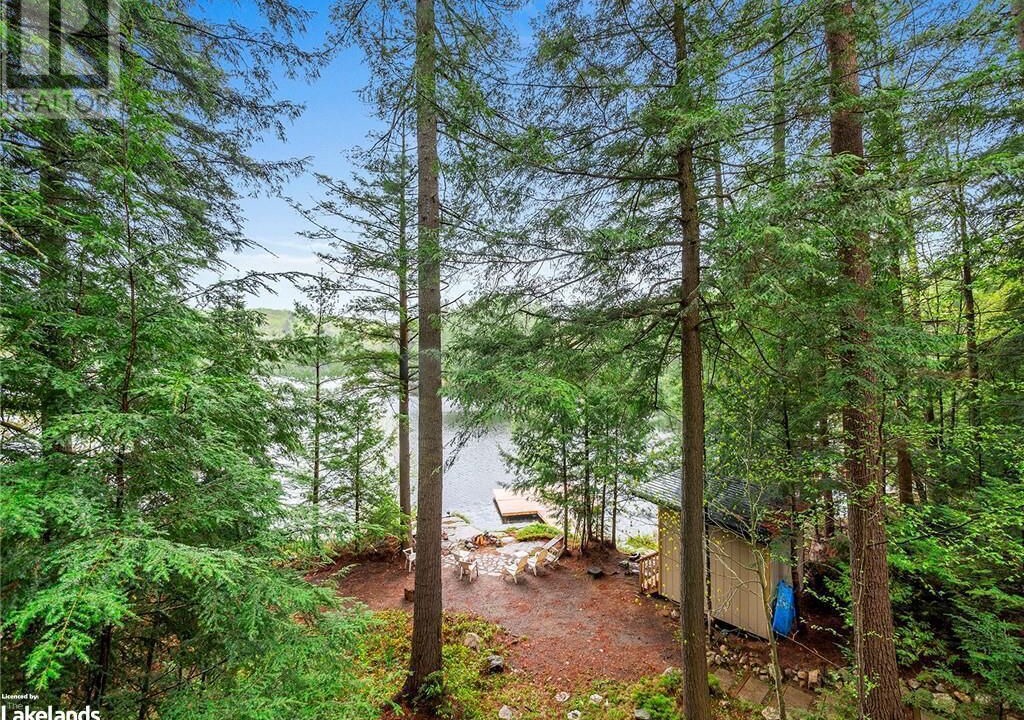 Photo of Outdoor in Algonquin Highlands