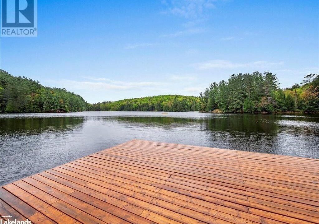 Photo of Outdoor in Algonquin Highlands