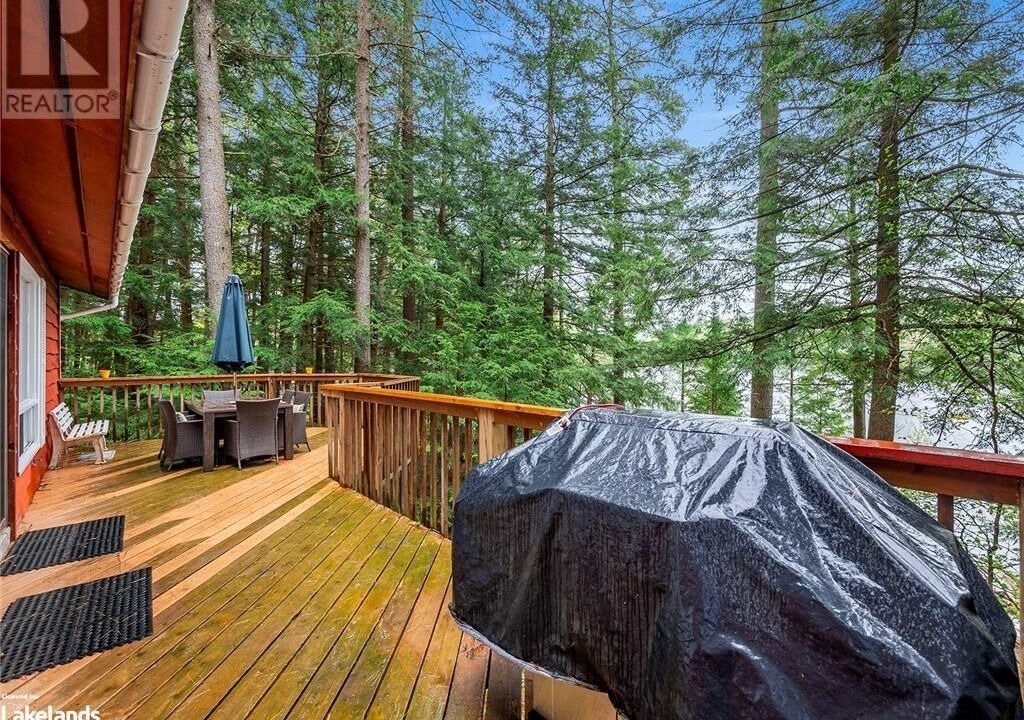 Photo of Outdoor in Algonquin Highlands