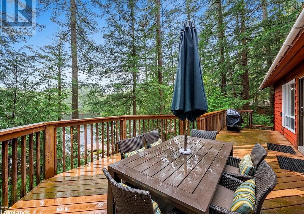 Photo of Outdoor in Algonquin Highlands