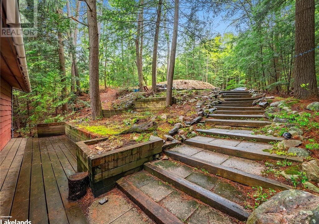Photo of Outdoor in Algonquin Highlands