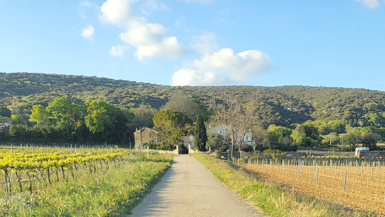 Photo of Others in Saint-Montan