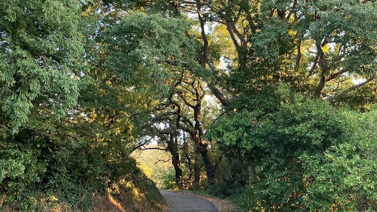 Photo of Outdoor in Saint-Montan