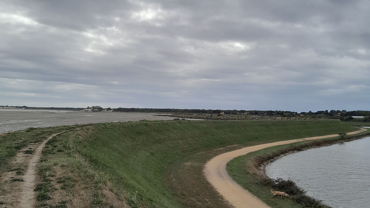 Photo of Outdoor in Barbatre