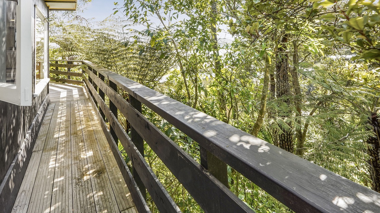 Photo of Outdoor in Raglan