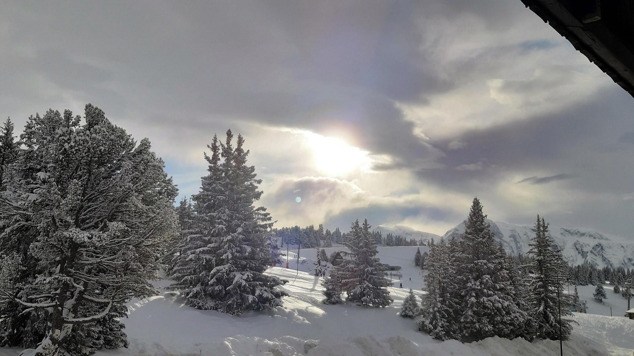Photo of Others in Chamrousse