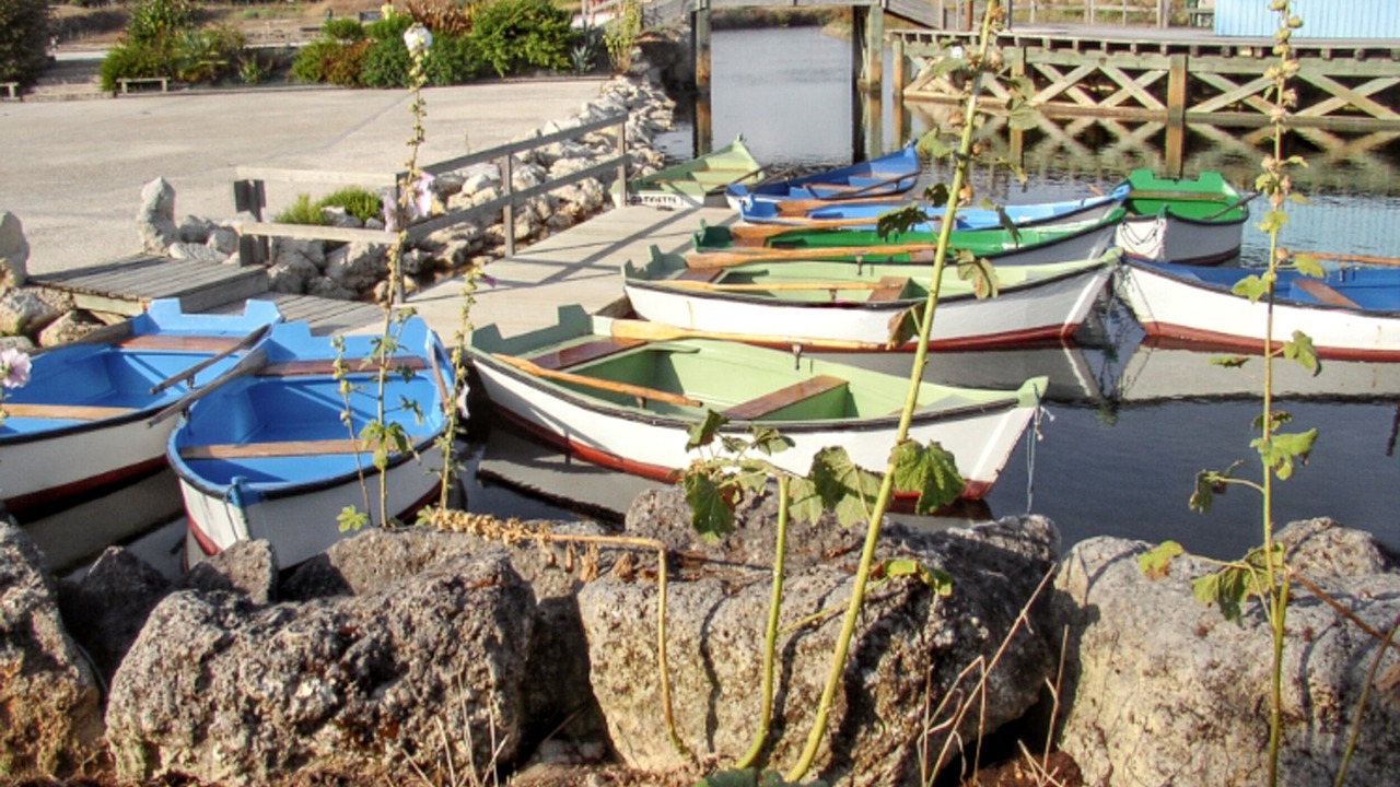 Photo of Others in Le Petit Village
