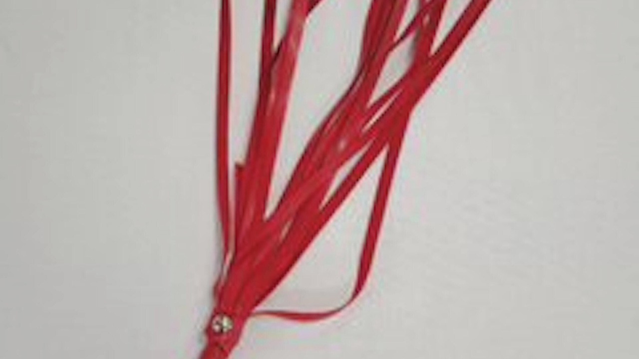 Photo of Livingroom in Ambrieres-les-Vallees