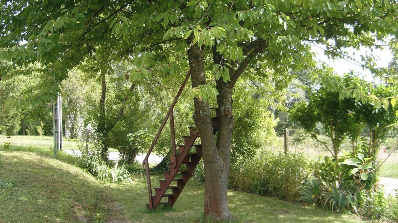 Photo of Others in Noyers-sur-Cher