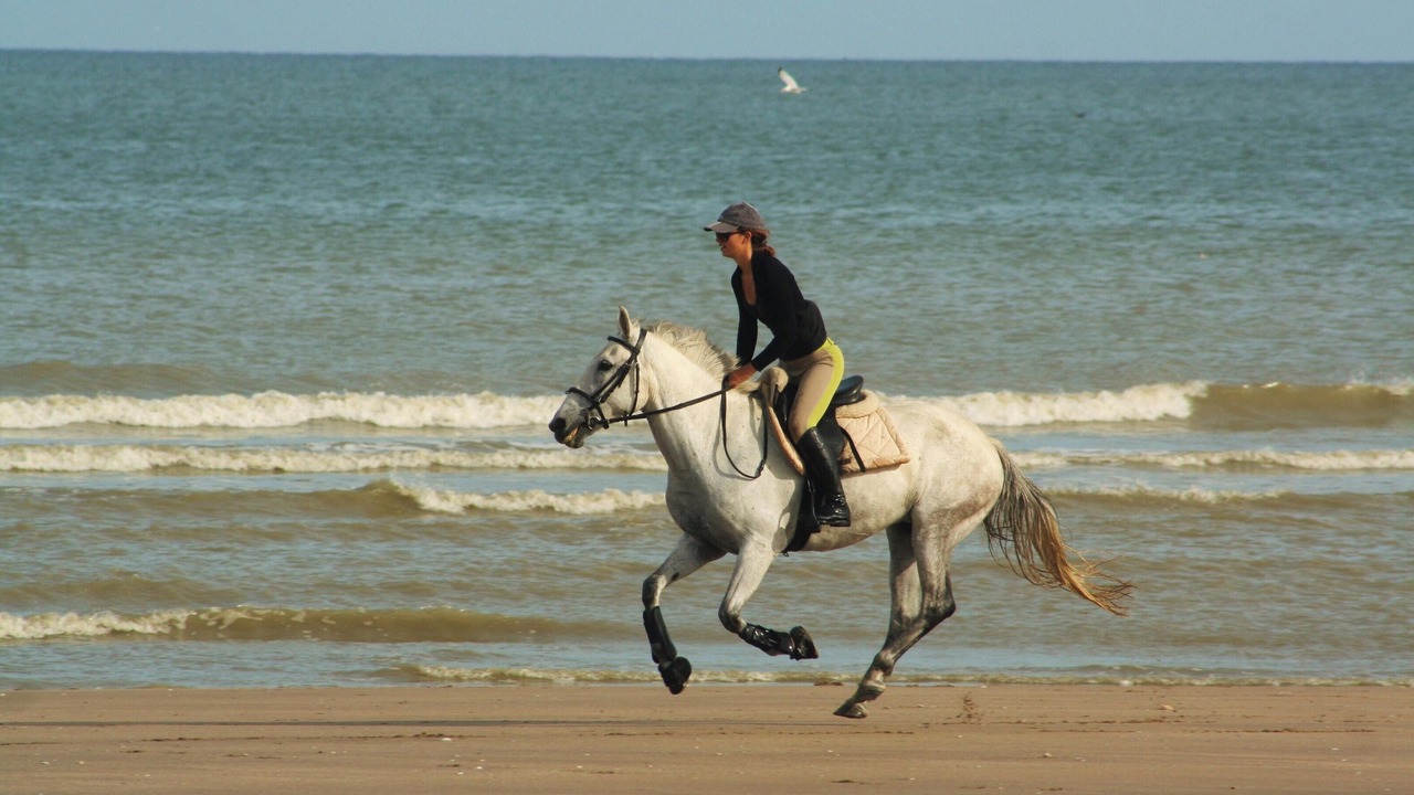 Photo of Others in Blonville-sur-Mer