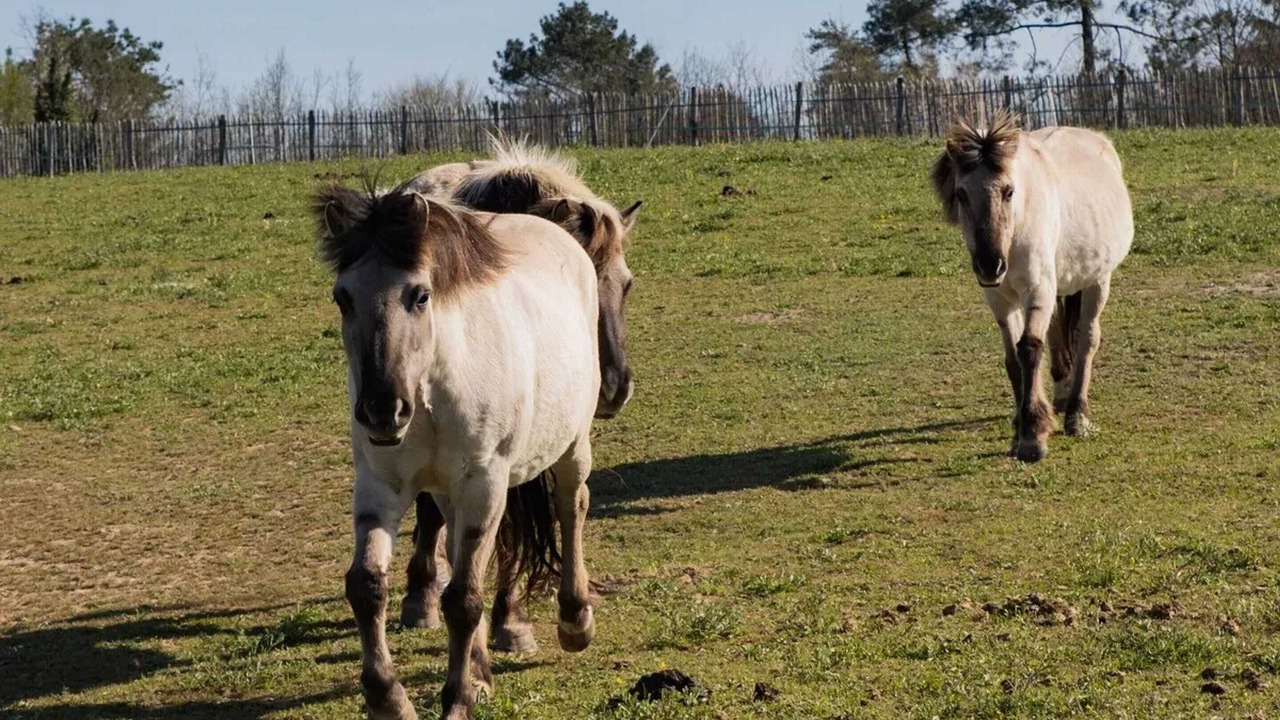 Photo of Others in Chaumeil