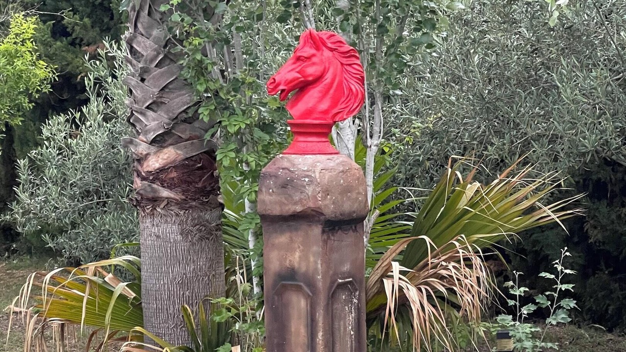Photo of Outdoor in Turis