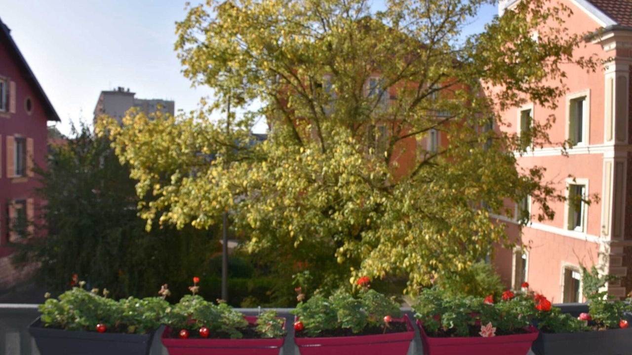 Photo of Outdoor in Belfort