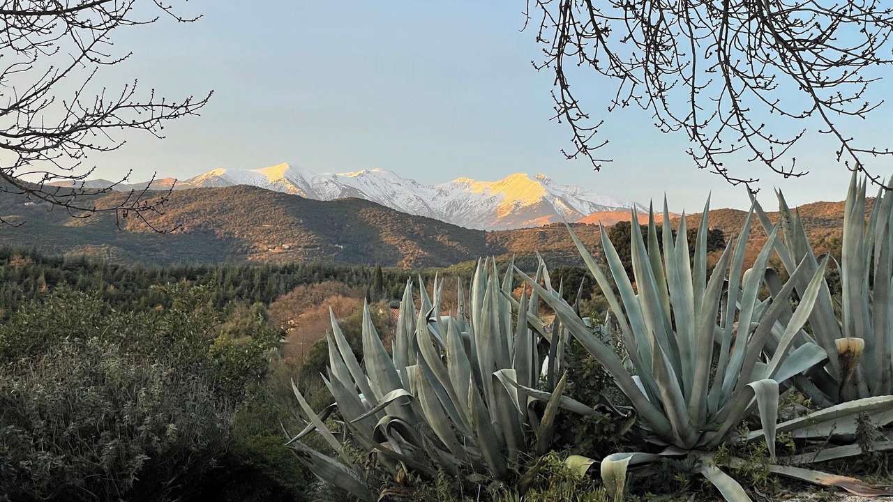 Photo of Outdoor in Castelnou