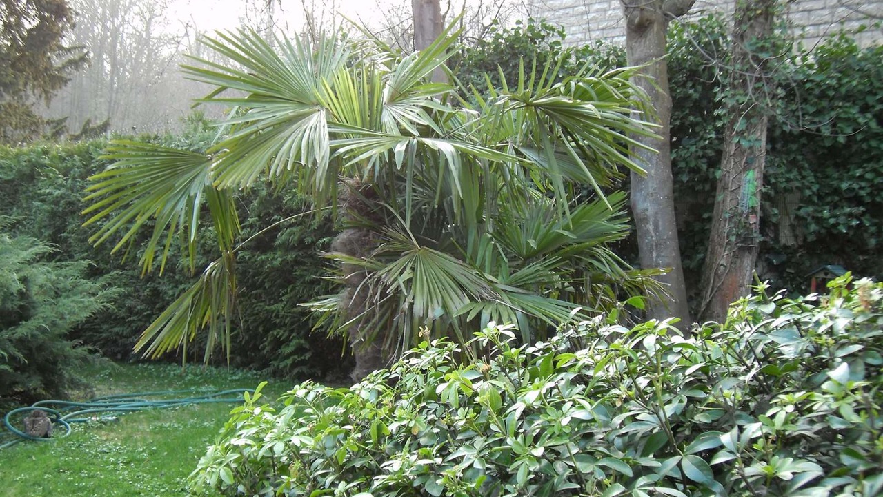 Photo of Outdoor in Ville-d'Avray