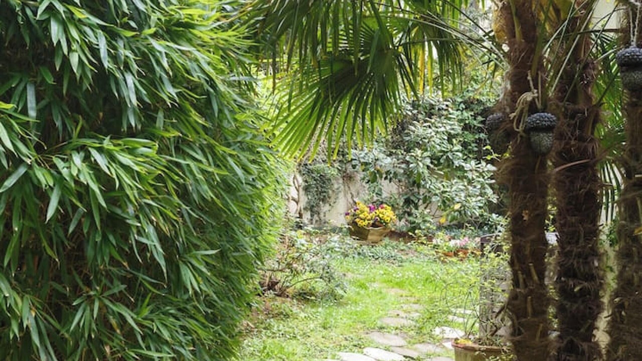 Photo of Outdoor in Ville-d'Avray