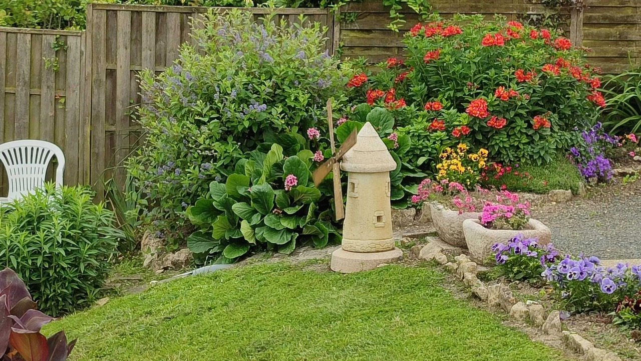 Photo of Outdoor in La Taillee