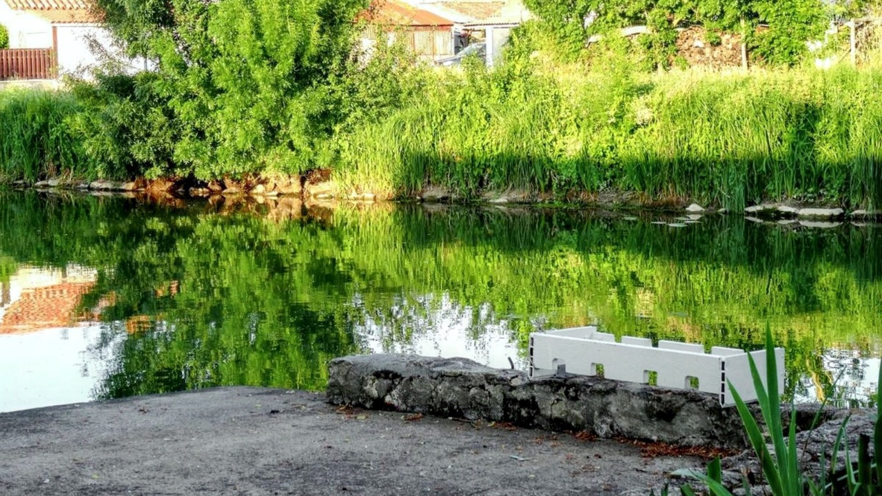 Photo of Others in La Taillee