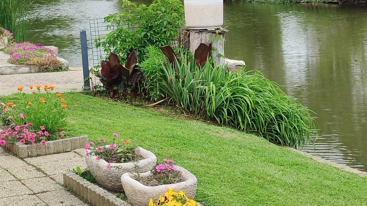 Photo of Outdoor in La Taillee