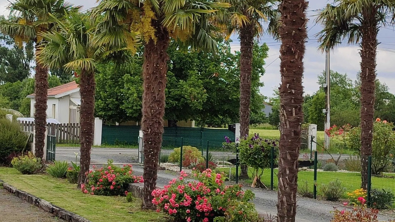 Photo of Outdoor in La Taillee