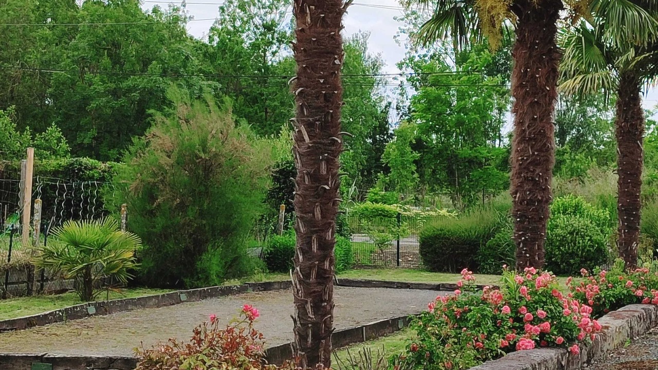 Photo of Outdoor in La Taillee