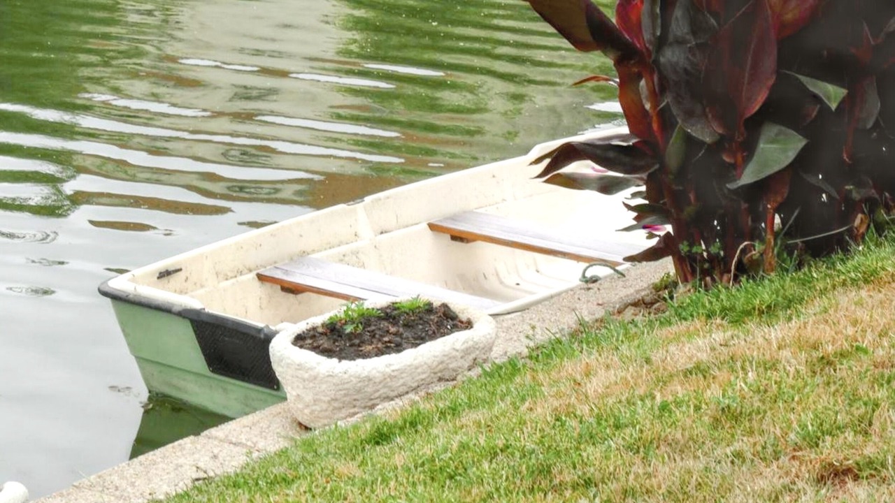 Photo of Others in La Taillee