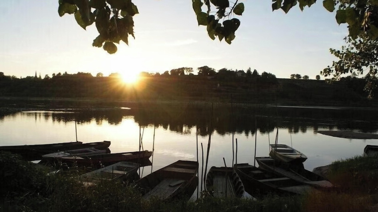 Photo of Others in Denee