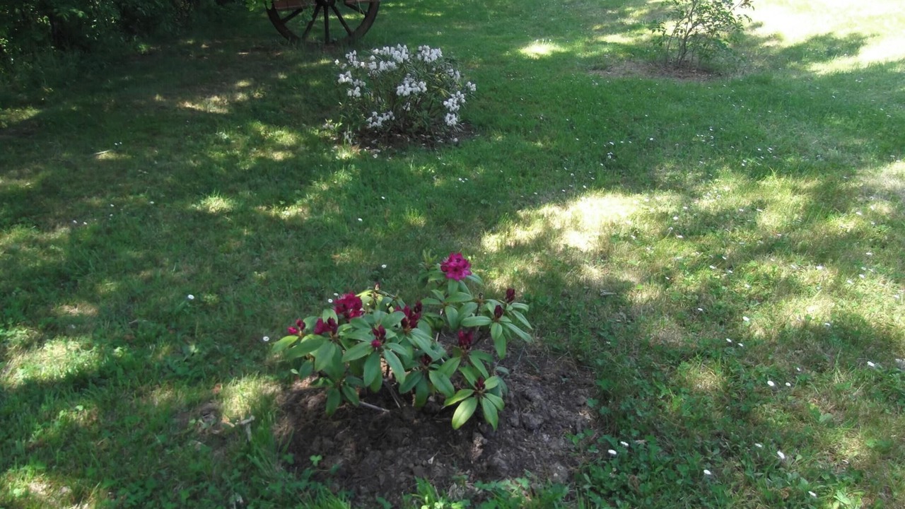 Photo of Outdoor in Montpezat-de-Quercy