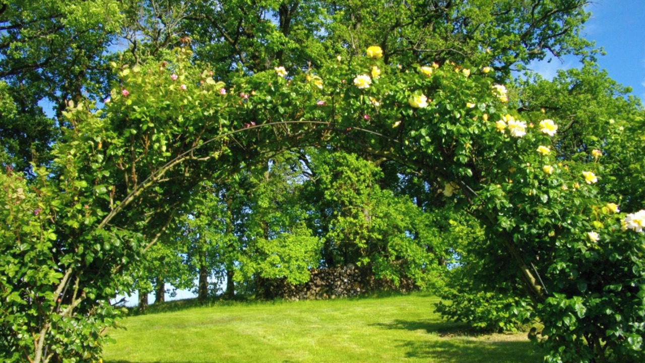 Photo of Outdoor in Montpezat-de-Quercy