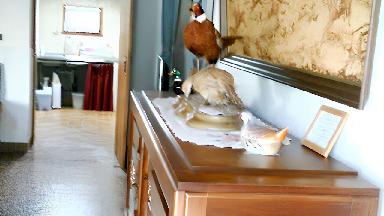 Photo of Livingroom in Loire - Vignobles et Nohain