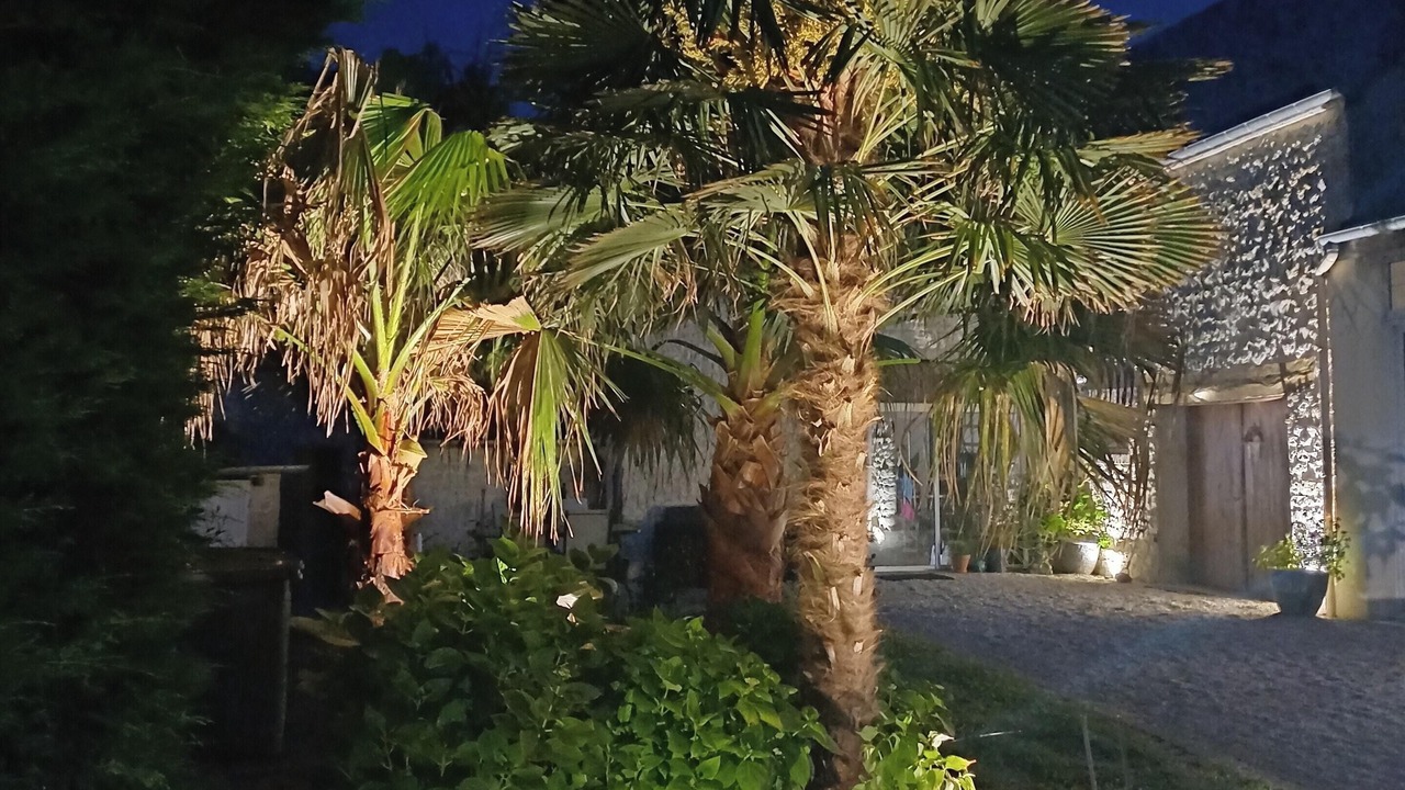 Photo of Others in Saint-Germain-du-Pert